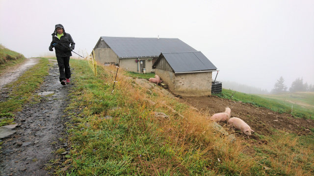 UTMB 2019