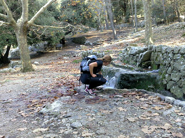 Excursió Sóller - Cuber