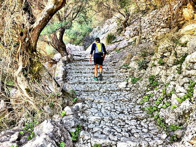 Excursió Sóller - Cuber