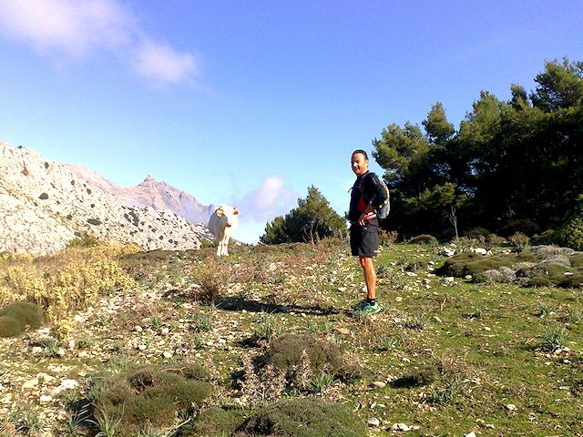 Excursió Sóller - Cuber