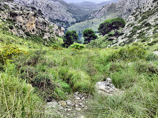 Excursió sa Coma - es Capdellà - s'Esclop