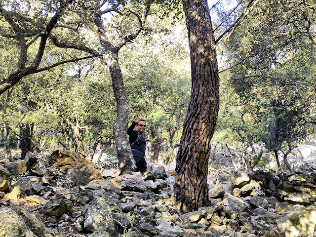 Valldemossa - Cúber