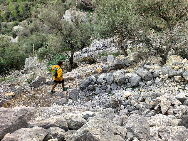 Valldemossa - Cúber