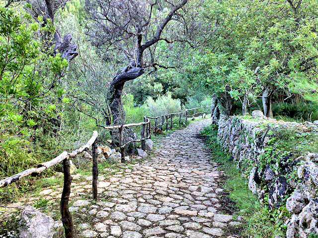 Valldemossa - Cúber